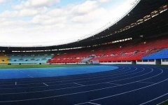 大型密集的體育場(chǎng)館無線覆蓋解決方案