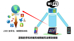 游樂(lè)園無(wú)線覆蓋解決方案